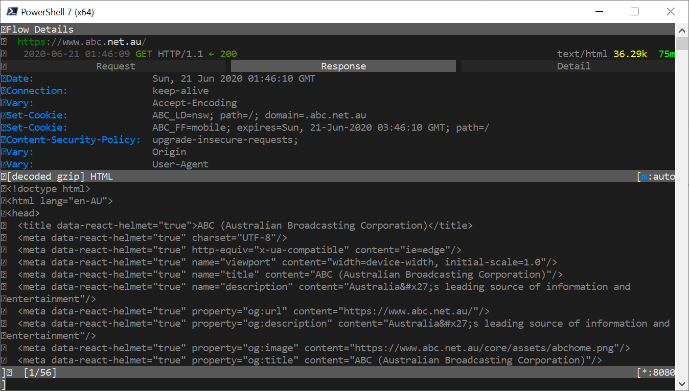 mitm terminal capturing - response